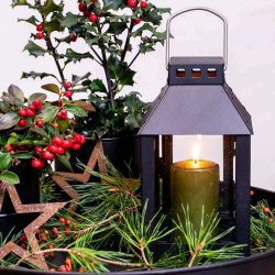 A2 living sort micro lanterne