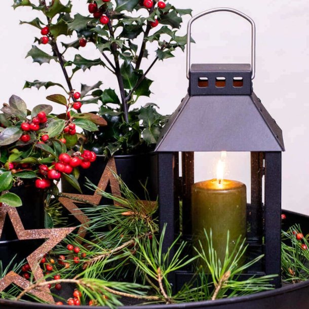 A2 living sort micro lanterne