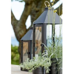 A2 living sort maxi lanterne