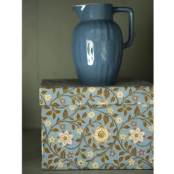 Bungalow sker Roja riviera