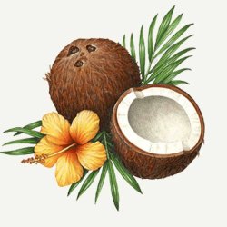  Panier Des Sens soothing Provencal h�nd og body s�be