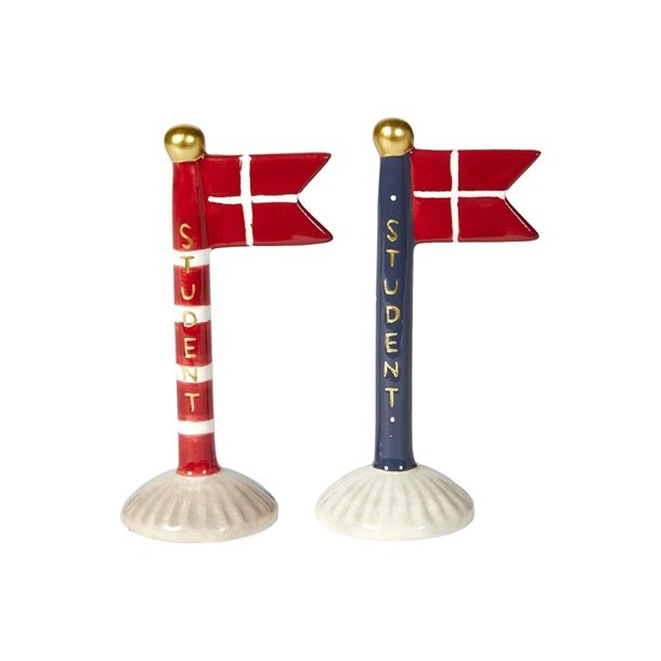 Speedtsberg blt studenter flag