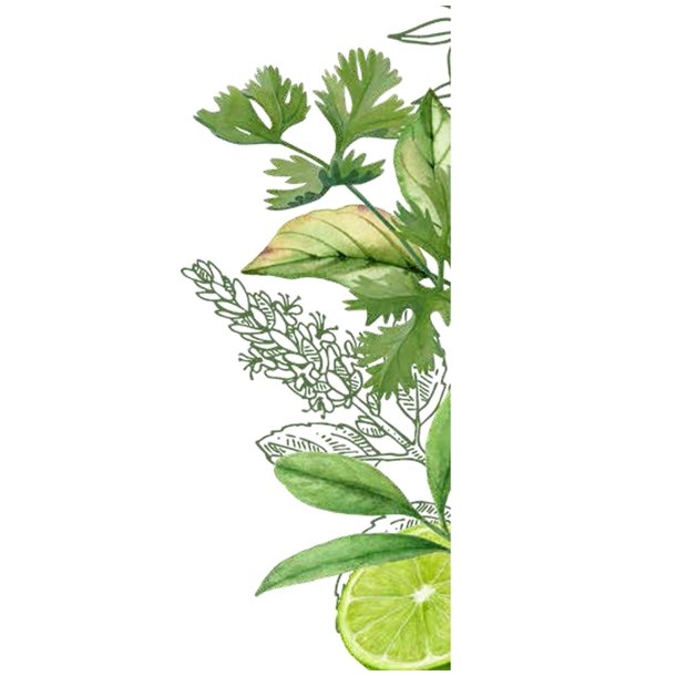 Scottish fine naturals hndsbe med lime og koriander