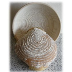  Aafod rund hvekurv til bagning,  26 cm