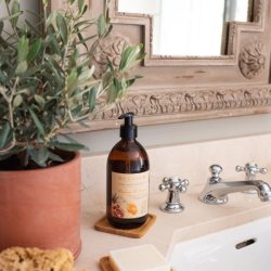 Durance flydende h�nd og bades�be med mandarin og granat�ble