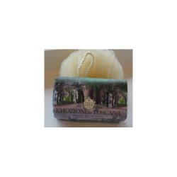 Nesti Dante vegetabilsk sbe med enchanting forest duft 